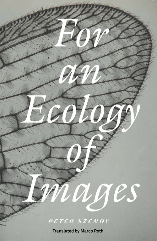 For an Ecology of Images by Peter Szendy, Marco Roth, 9781804294314