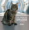 Star Trek Discovery: The Book of Grudge by Robb Pearlman, 9781835412206