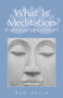 What Is Meditation? (Buddhism for Everyone) by Rob Nairn, 9781570627156