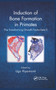 Induction of Bone Formation in Primates (The Transforming Growth Factor-beta 3) by Ugo Ripamonti, 9780367377403