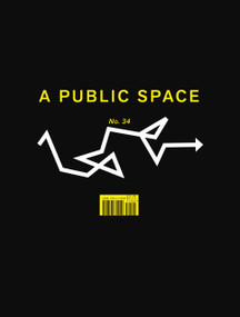 A Public Space No. 34 by Brigid Hughes, 9781736370919