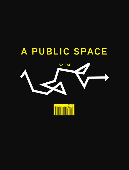 A Public Space No. 34 by Brigid Hughes, 9781736370919