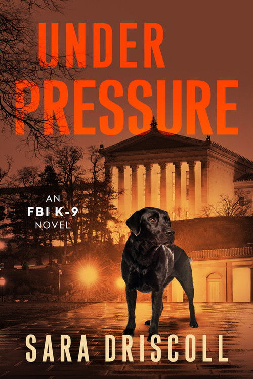 Under Pressure (A Spellbinding Crime Thriller) by Sara Driscoll, 9781496754370