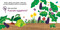 The Very Hungry Caterpillar's Vegetable Garden (A Search-and-Find Book) by Eric Carle, Eric Carle, 9780593888018