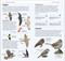 What's that Bird? by DK, 9780593963531