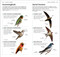What's that Bird? by DK, 9780593963531