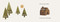 Your Forest by Jon Klassen, Jon Klassen, 9781536230833
