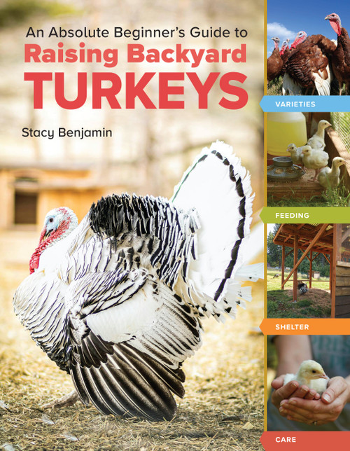 An Absolute Beginner's Guide to Raising Backyard Turkeys (Varieties, Feeding, Shelter, Care) by Stacy Benjamin, 9781635867565