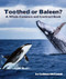 Toothed or Baleen? A Whale Compare and Contrast Book by Cathleen McConnell, 9781643519968
