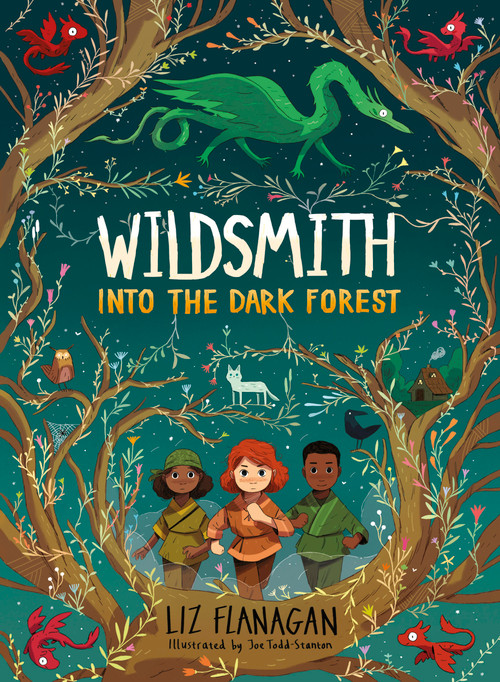 Into the Dark Forest by Liz Flanagan, Joe Todd-Stanton, 9781454956419