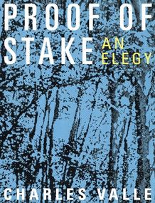 Proof of Stake (An Elegy) by Charles Valle, 9781734456660