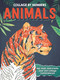 Collage By Numbers: Animals (Rip, Stick, and Create Your Own Collage Masterpieces) by IglooBooks, DGPH, Diego  Vaisberg, 9781837956319