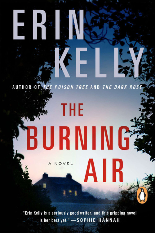 The Burning Air (A Novel) by Erin Kelly, 9780143124528