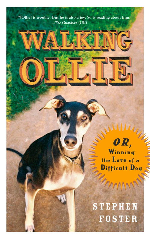 Walking Ollie (Or, Winning the Love of a Difficult Dog) by Stephen Foster, 9780399534294