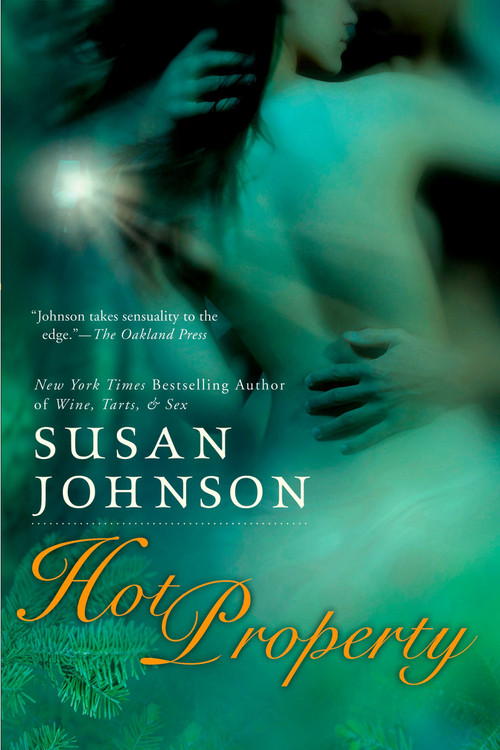 Hot Property by Susan Johnson, 9780425221730