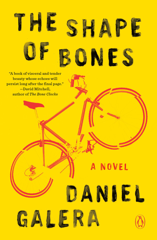 The Shape of Bones (A Novel) by Daniel Galera, Alison Entrekin, 9780143131496