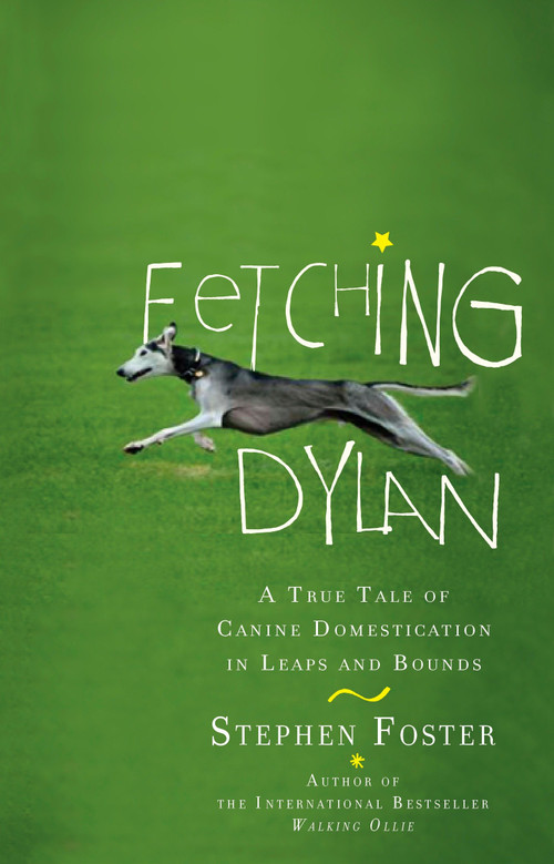 Fetching Dylan (A True Tale of Canine Domestication in Leaps and Bounds) by Stephen Foster, 9780399535116
