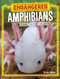 Endangered Amphibians Around the World by Lisa J. Amstutz, 9780756578688