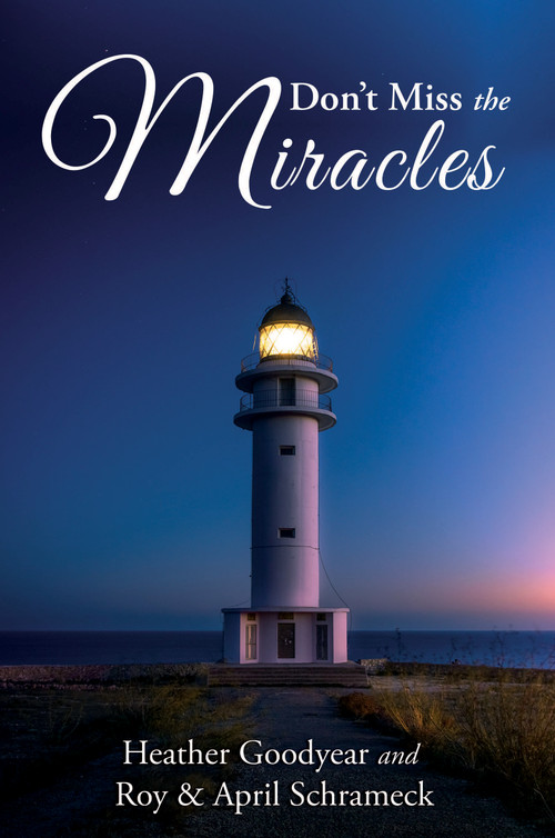 Don't Miss The Miracles by Roy Schrameck, April Schrameck, Heather Goodyear, 9781633570931