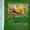 From Jesus with Love- Forgiveness (Learn how to forgive from the One who forgives us) by Jessie Richards, 9781632641076