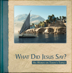 What did Jesus say? (His words on today's topics) by Sally Glen, Catherine Martinsson, 9781632641274