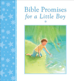 Bible Promises for a Little Boy by Mary Joslin, Ruchi Mhasane, 9780745964041