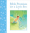 Bible Promises for a Little Boy by Mary Joslin, Ruchi Mhasane, 9780745964041