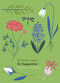A Month with St Augustine by Rima Devereaux, 9780281078981