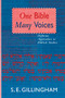 One Bible, Many Voices (Different Approaches To Biblical Studies) by Susan Gillingham, 9780281048861