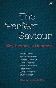 The Perfect Saviour by Jonathan Griffiths, 9781844745838