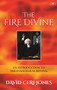 The Fire Divine (An Introduction To The Evangelical Revival) by David Jones, 9781783592906