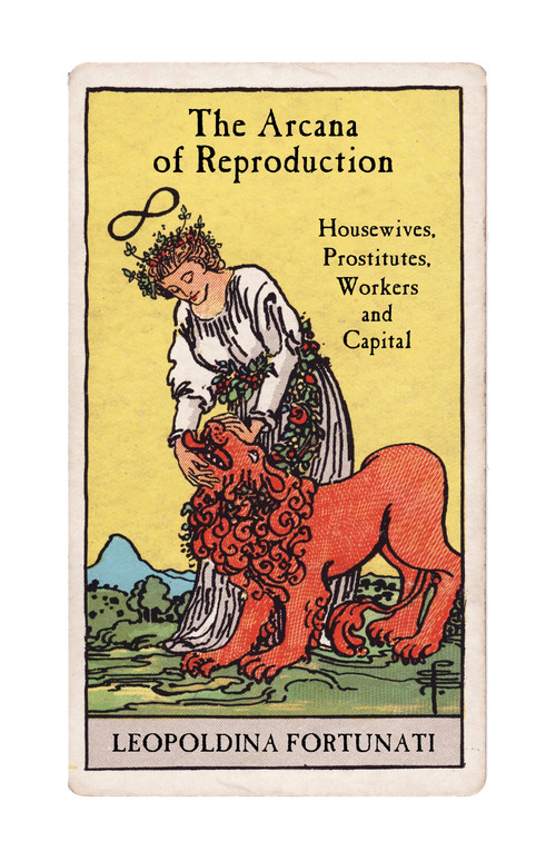 The Arcana of Reproduction (Housewives, Prostitutes, Workers and Capital) by Leopoldina Fortunati, Arlen Austin, Sara Colantuono, 9781839767401