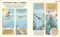 Paciencia (Descubre las maravillas que nos rodean cuando aprendemos a esperar) (Spanish Edition) by Rachel Williams, Leonie Lord, 9780593961612