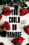You Could Do Damage by K.C. Mills, 9781957950709