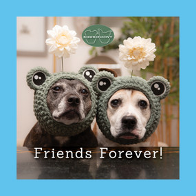 Sookie and Ivy Friends Forever! by Jani Oja, 9781497105263