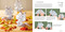 Nature Origami (Paper block plus 64-page book) by Mari Ono, 9781800654068