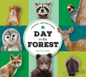 Animal Adventures: Day in the Forest by Alexandra Claire, 9781685556433