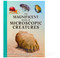 The Magnificent Book of Microscopic Creatures by Anne Rooney, Walerczuk, Aracama, Combi, 9798886740691