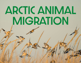 Arctic Animal Migration (English Edition) by Arvaaq Press, 9781774506424