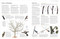 Pruning and Training (What, When, and How to Prune) by DK, 9780593964231