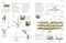 Pruning and Training (What, When, and How to Prune) by DK, 9780593964231