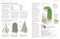 Pruning and Training (What, When, and How to Prune) by DK, 9780593964231