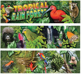 Tropical Rain Forest Mini Bulletin Board Set by Mark Twain Media, 9781580375030