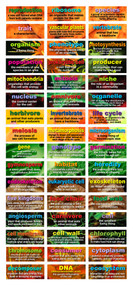 48 Life Science Testing Words Mini Bulletin Board Set by Mark Twain Media, 9781580376396