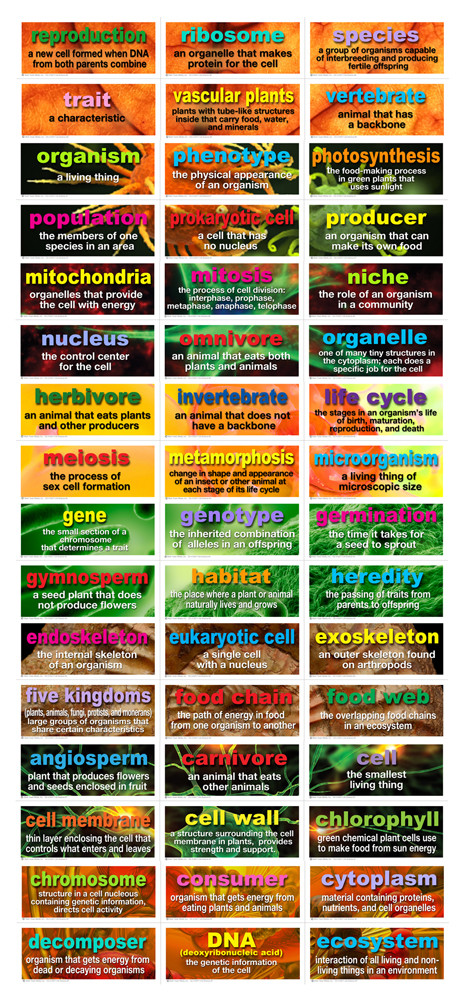 48 Life Science Testing Words Mini Bulletin Board Set by Mark Twain Media, 9781580376396