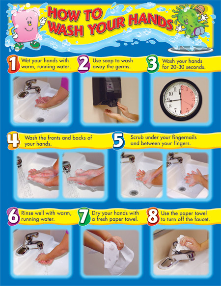 How to Wash Your Hands Chart by Carson-Dellosa Publishing, 9781594414336