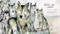 Victor, the Wolf with Worries by Catherine Rayner, 9781915801838
