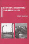 Between Auschwitz and Jerusalem by Yosef Gorny, 9780853034193