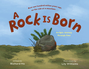 A Rock Is Born (An Epic Journey Through Time) by Richard Ho, Lily Williams, 9781250749925