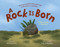 A Rock Is Born (An Epic Journey Through Time) by Richard Ho, Lily Williams, 9781250749925